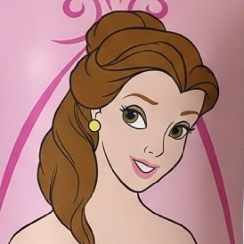 Disney Beauty and the Beast Belle Pink Sleeping Bag Vintage 90s Made in USA
